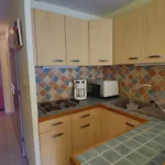 Spacieux T2 Cabine, Terrasse, Animaux Admis - Fr-1-472a-161 *