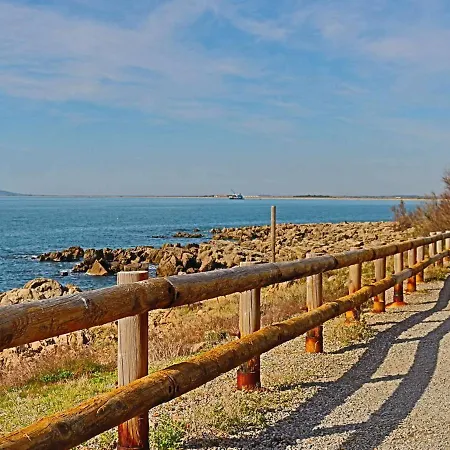 T2 Spacieux A 200m Plage, Parking, Animaux Acceptes - Fr-1-472a-161 Appartamento Sète