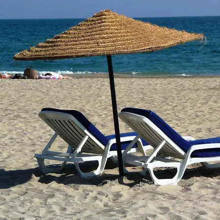 Apartamento T2 Spacieux A 200m Plage, Parking, Animaux Acceptes - Fr-1-472a-161 *